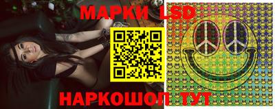 гидропоника Будённовск