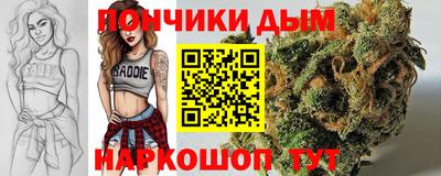 гидропоника Будённовск