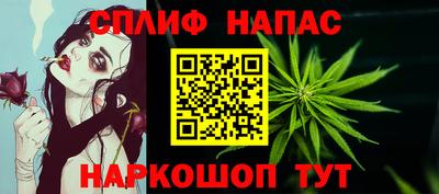 гидропоника Будённовск