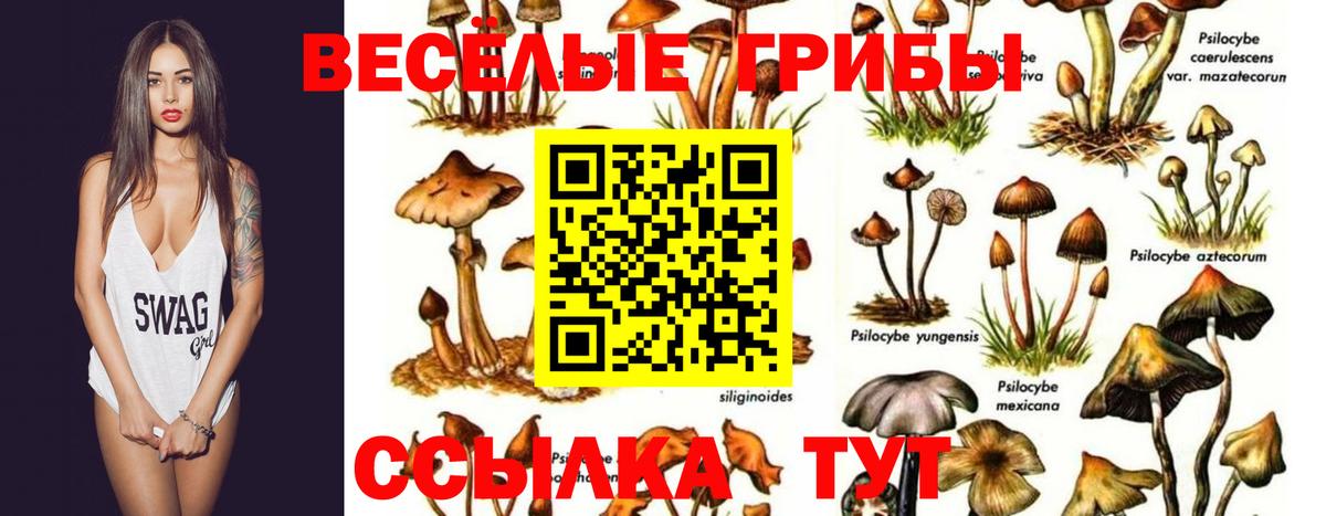 Псилоцибиновые грибы мухоморы Луга