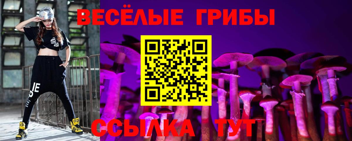 где купить   Вход с VPN  Луга  Галлюциногенные грибы Magic Shrooms 
