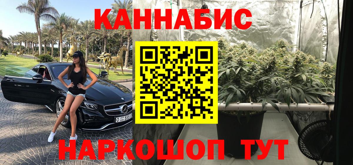МАРИХУАНА Bruce Banner Луга